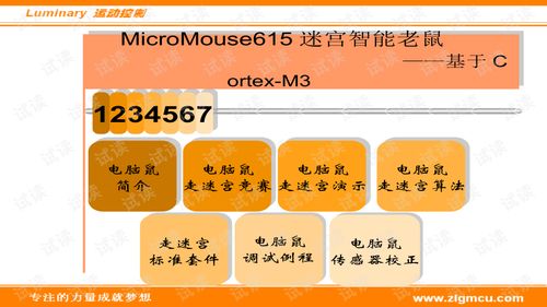 電腦鼠原理與硬件開發文檔資源指南 聚焦CSDN下載與軟硬件開發實踐